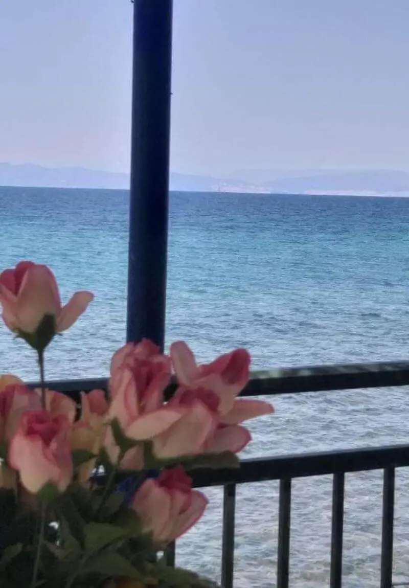 Sea View Bungalows Thassos Skala Kallirachi (12)